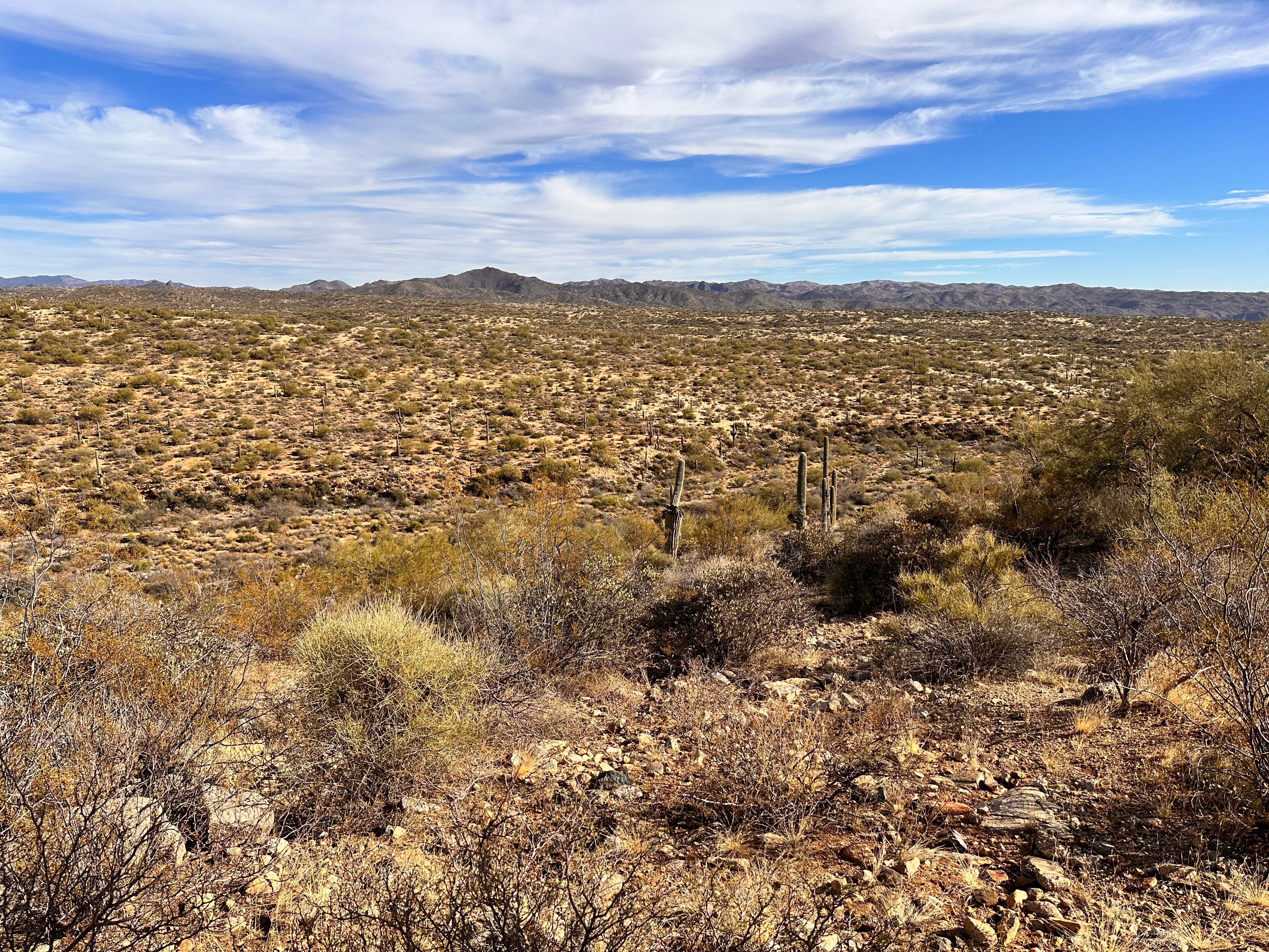 Don't Miss the Adventure of a Lifetime at DirtFest Stanton March  2024!