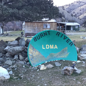 LDMA Lifetime