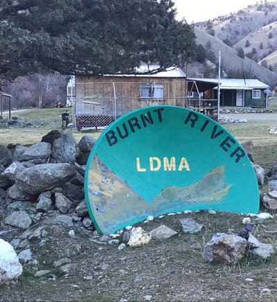 LDMA Lifetime