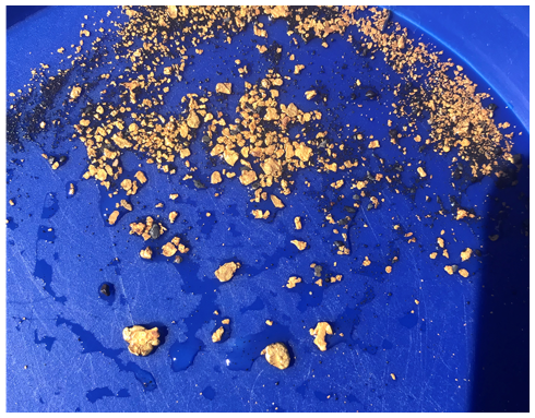 LDMA Payment Plan Membership Annual