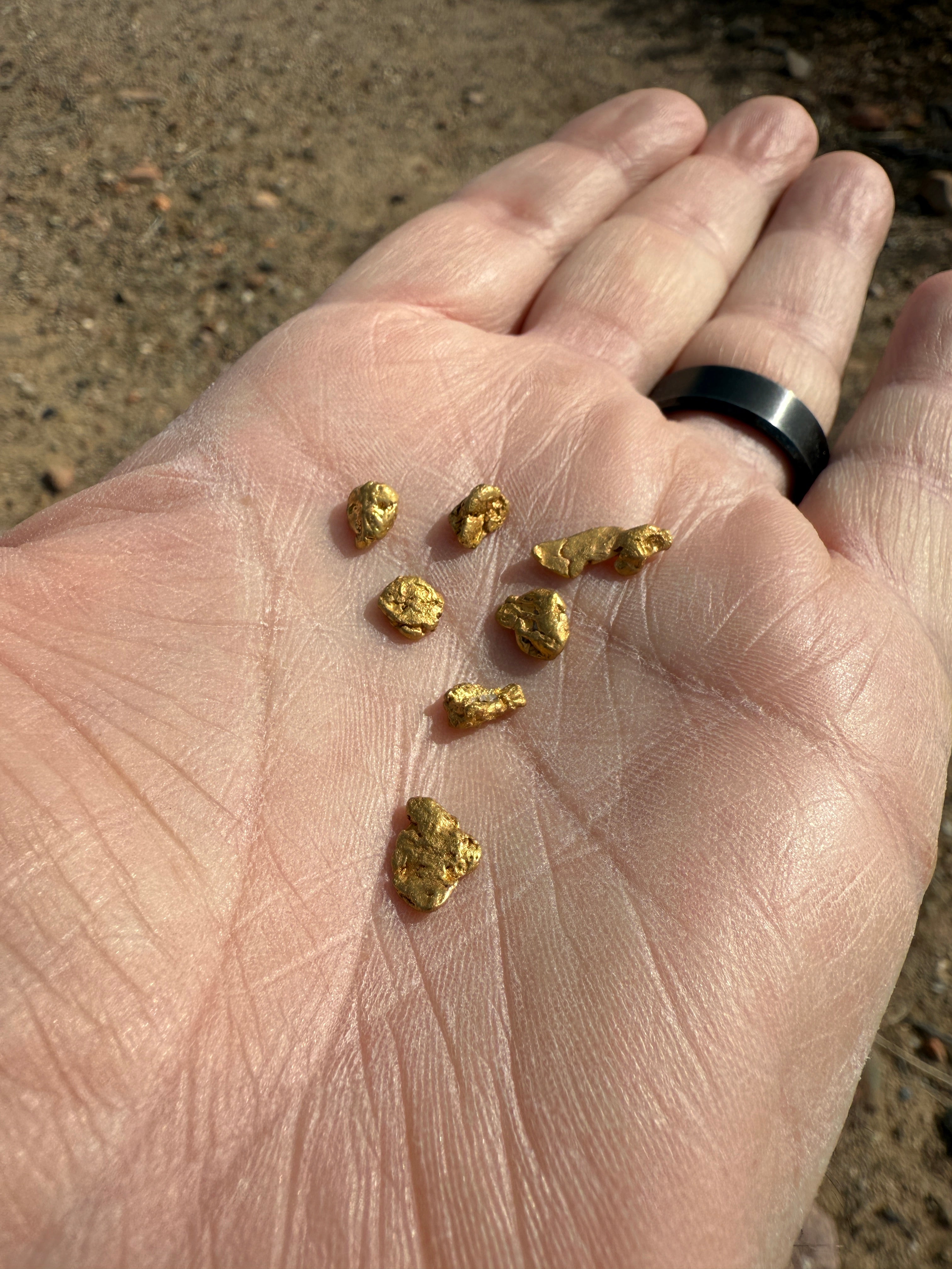 Digger's Detector Experience - Stanton