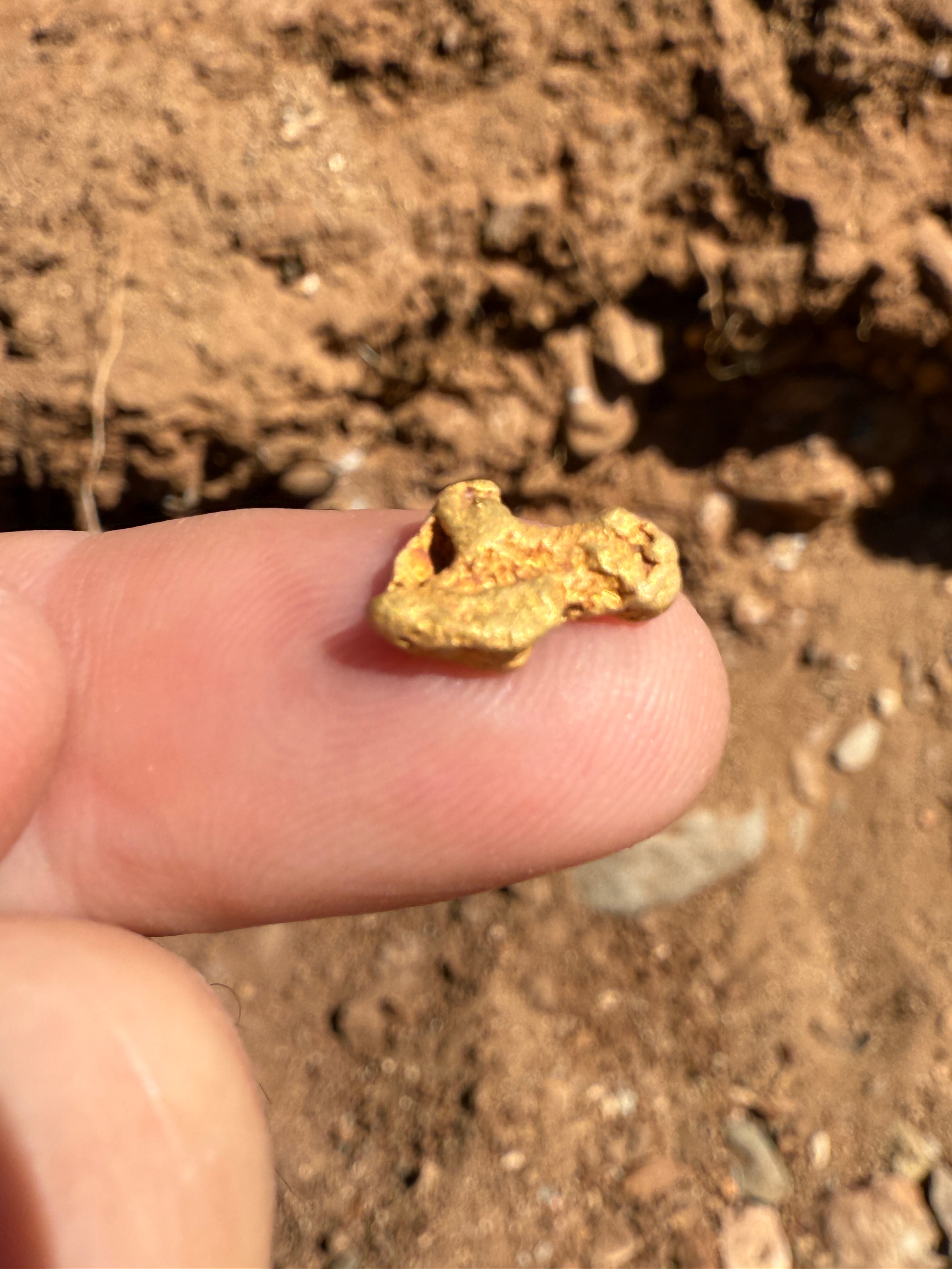 Digger's Detector Experience - Stanton