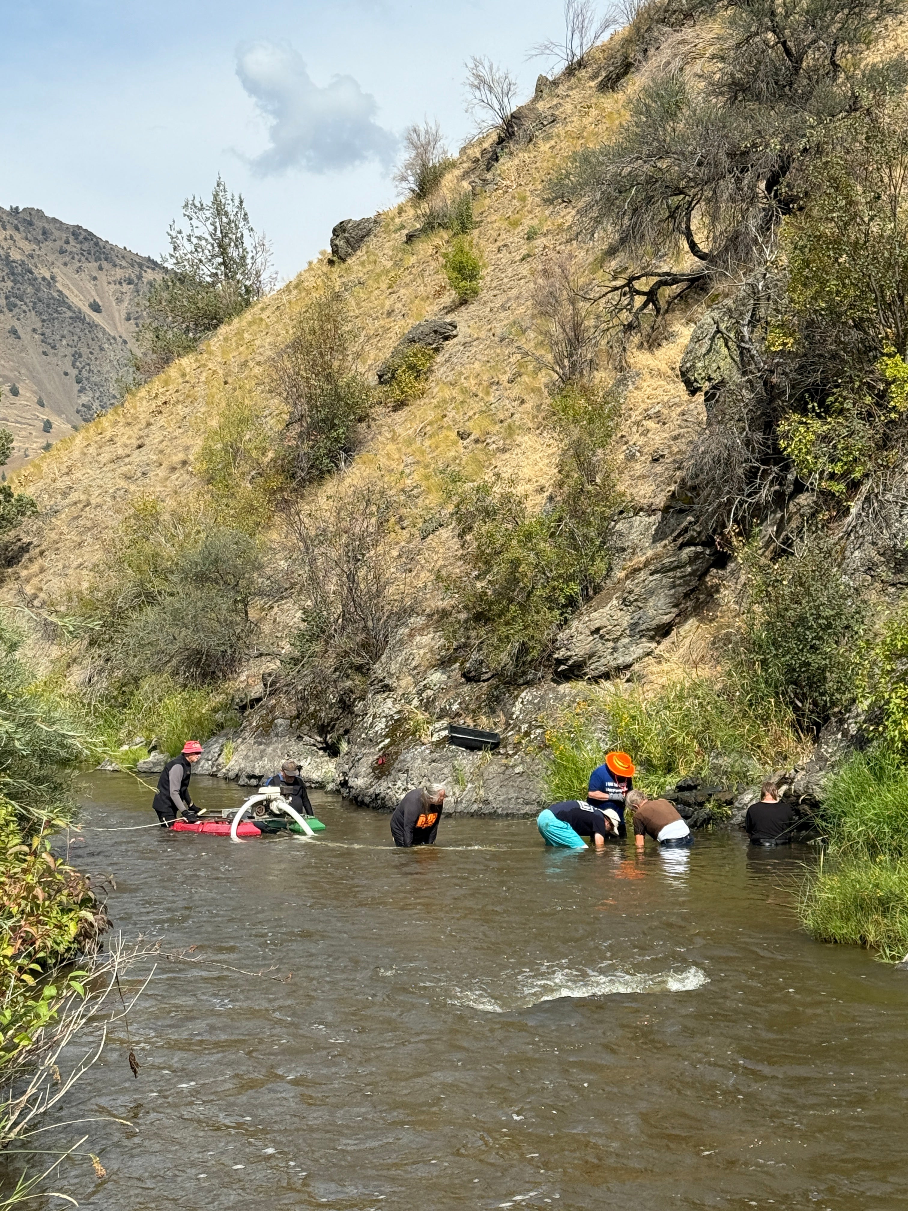 Digger's Hidden Dredge Quest - Vein Mountain