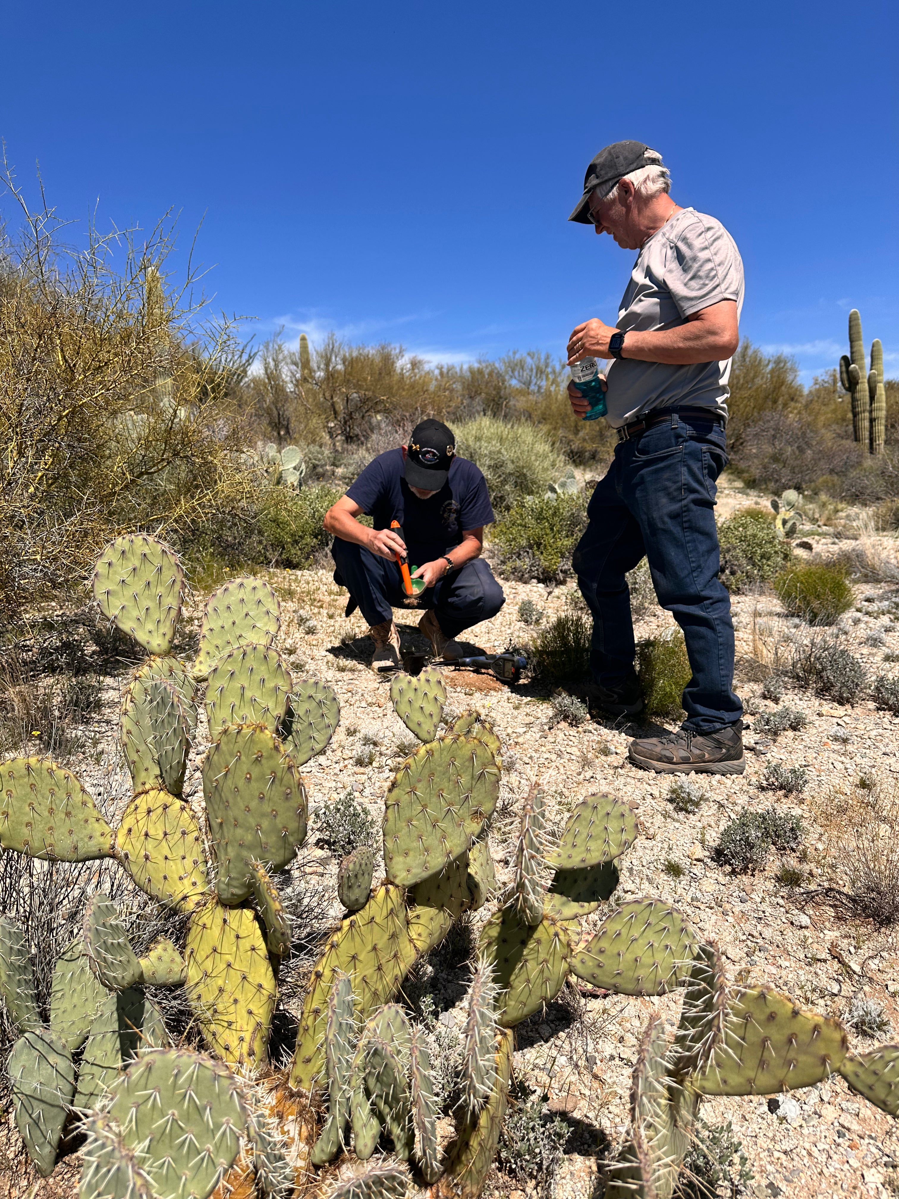 Digger's Detector Experience - Stanton