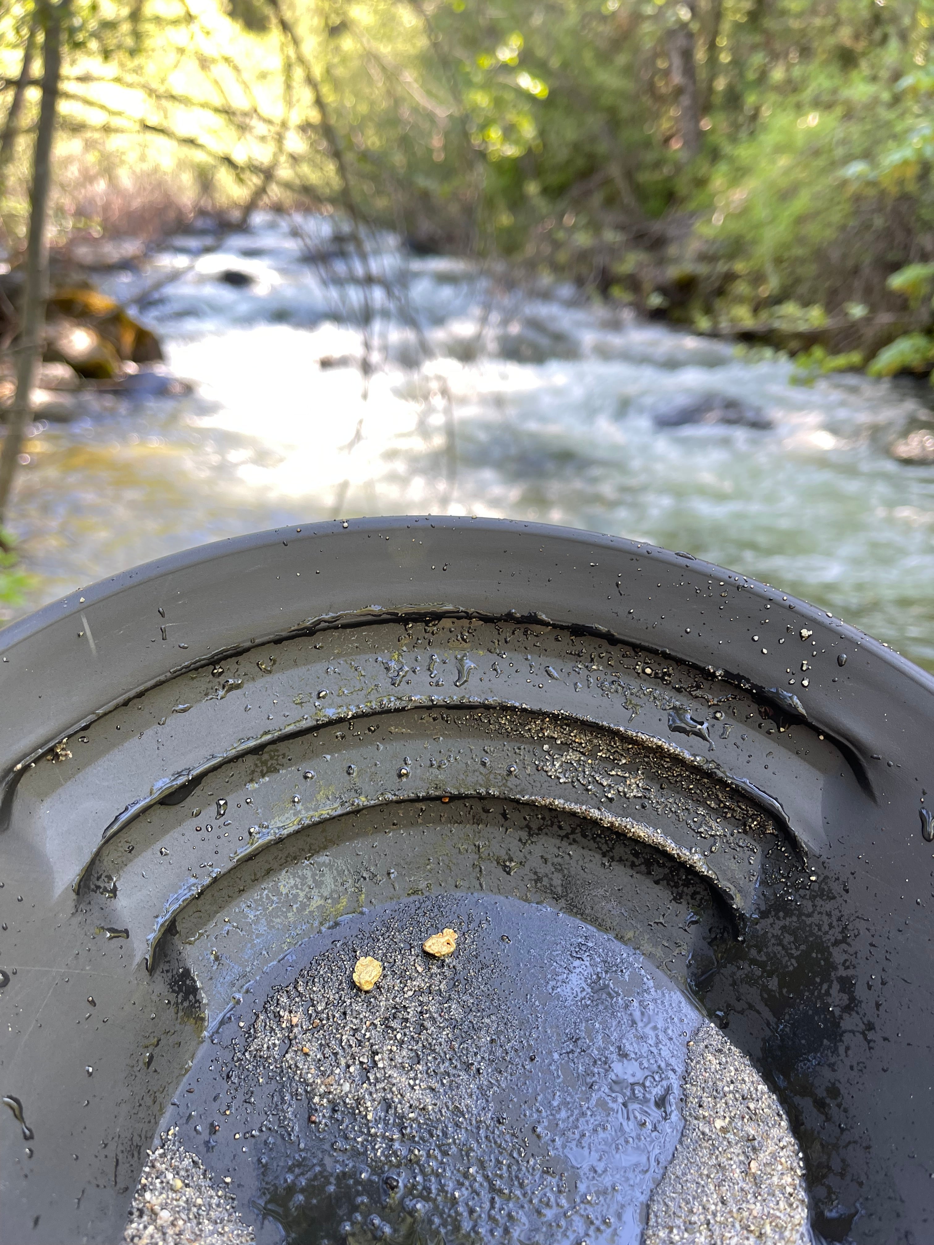 LDMA Payment Plan Membership Annual