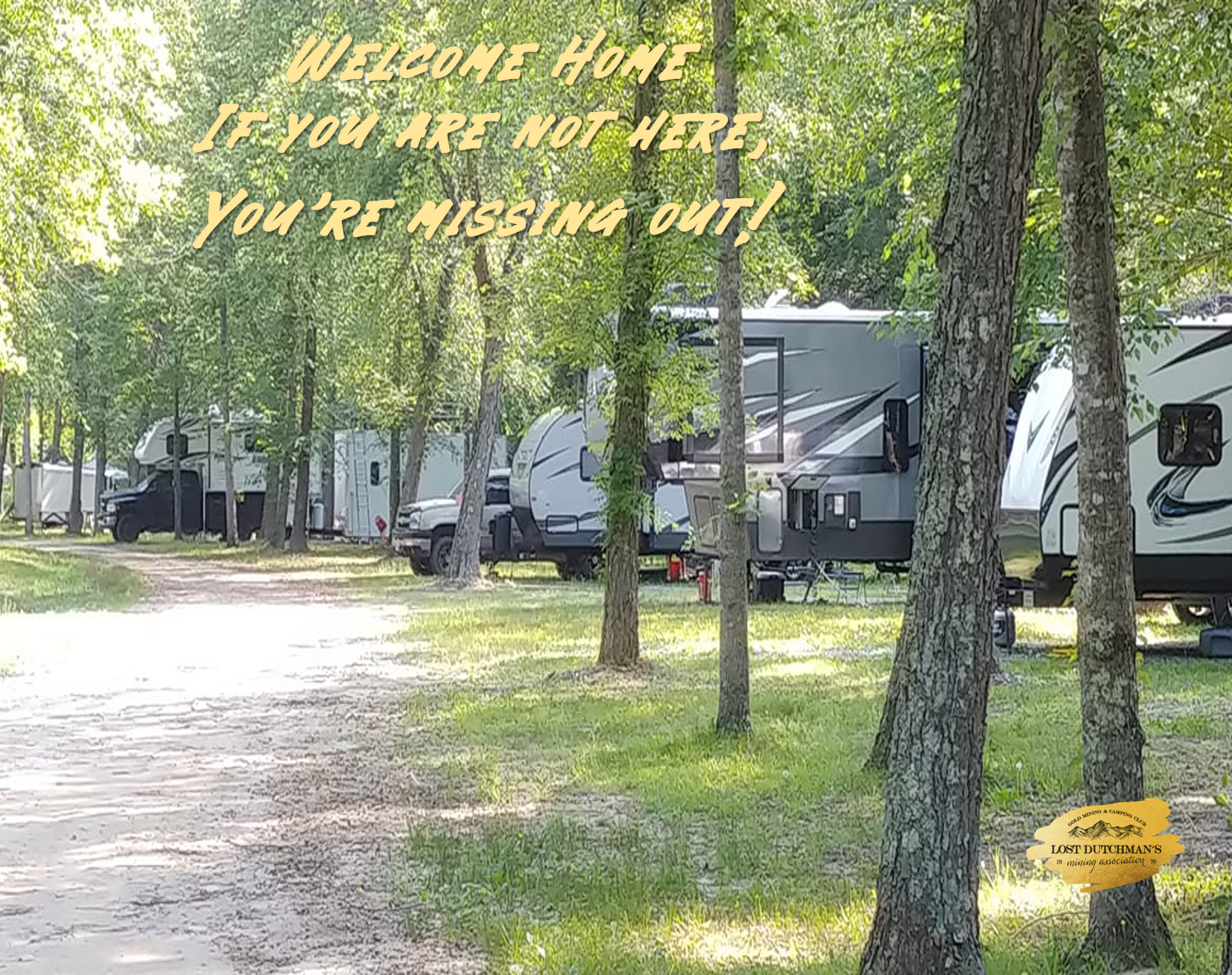 LDMA Payment Plan Membership Annual