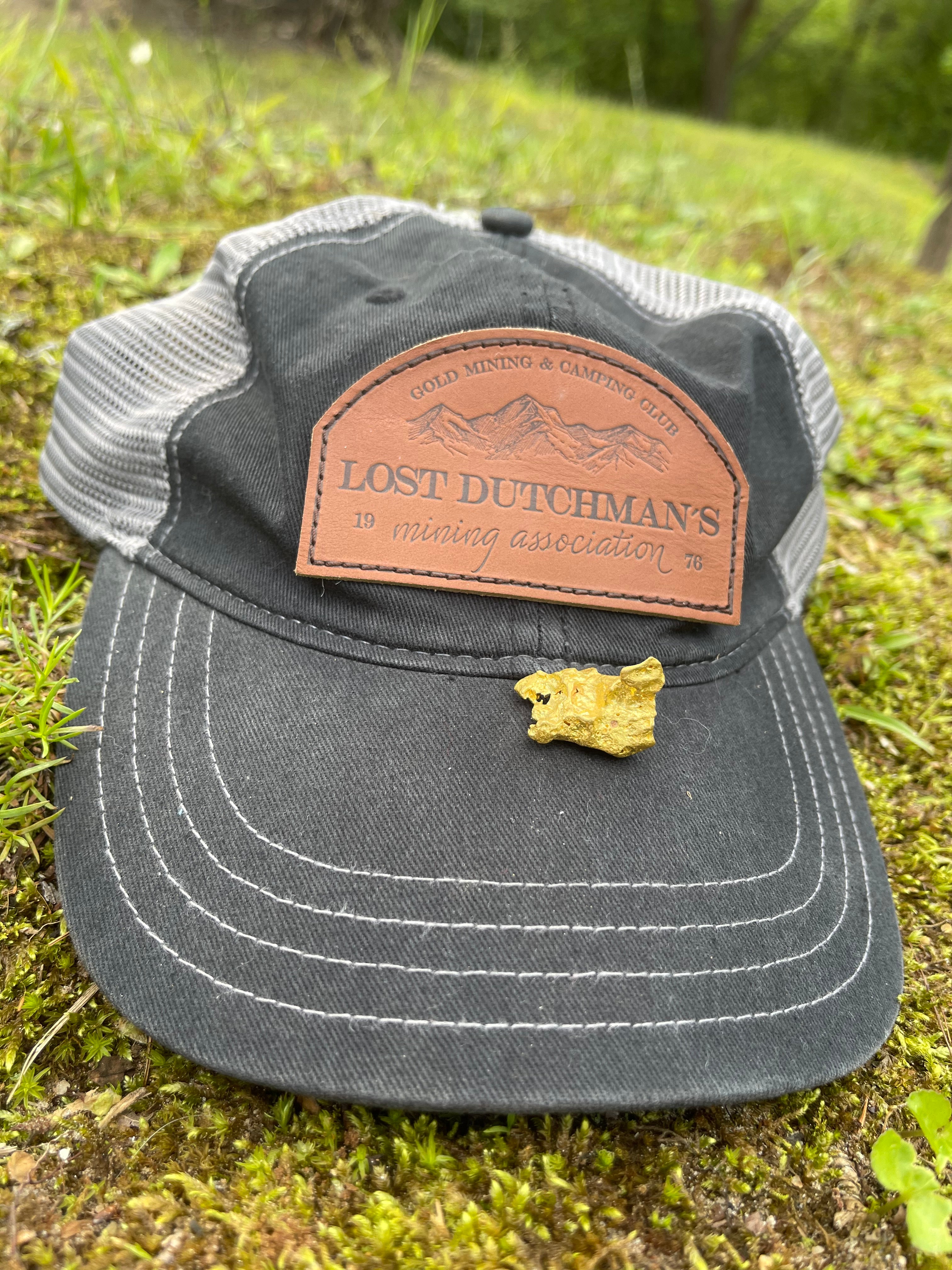 LDMA Membership Payment