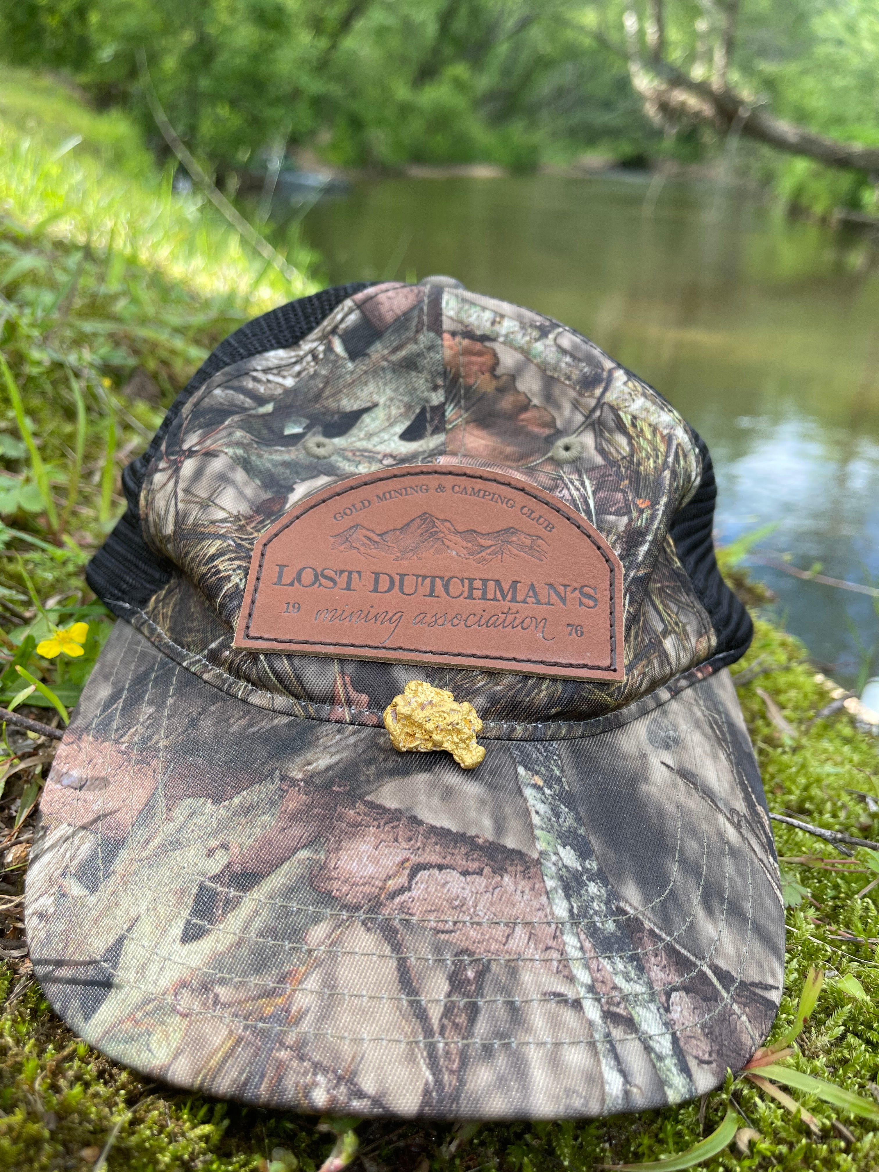 LDMA Membership Payment