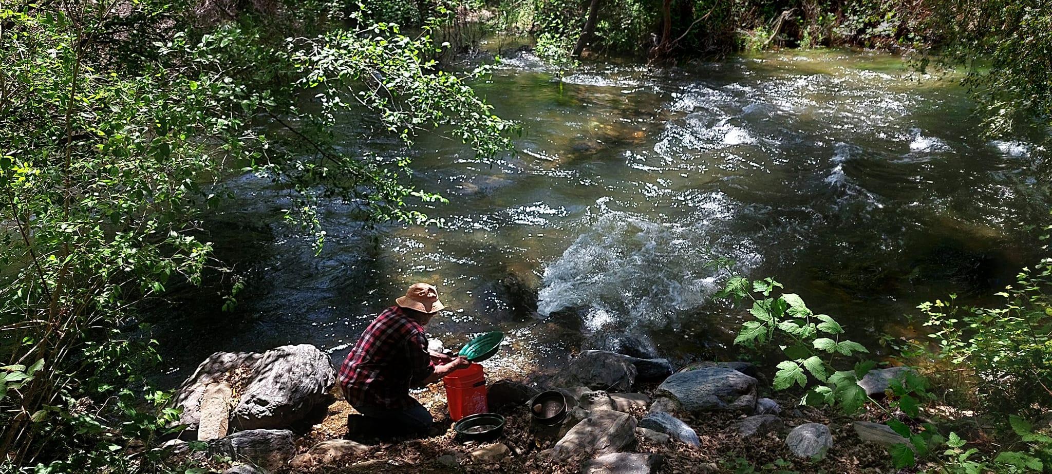 Gold panning on the Stanislaus